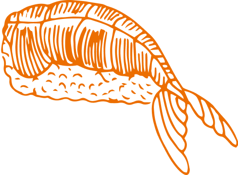 Contador